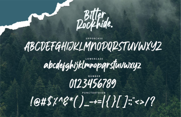 Bitter Rockhide Font preview 3