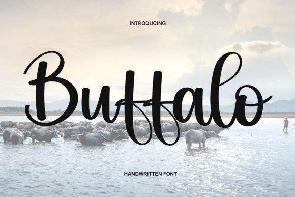 Buffalo Font Buffalo Font