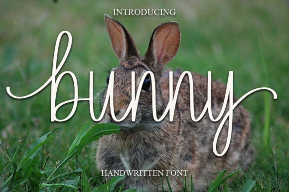 Bunny Font Bunny Font