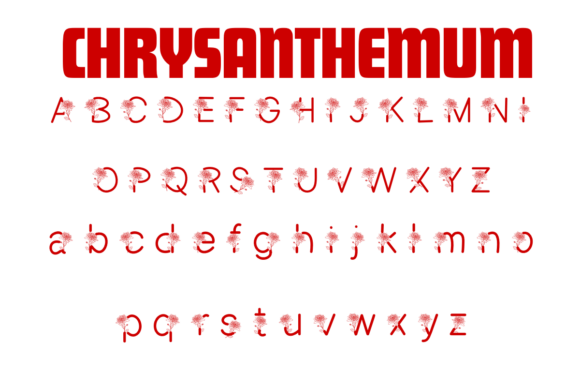Chrysanthemum Font preview 2