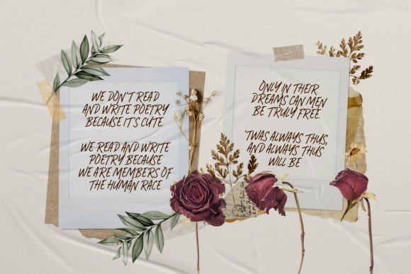 Amoretti Font preview 4