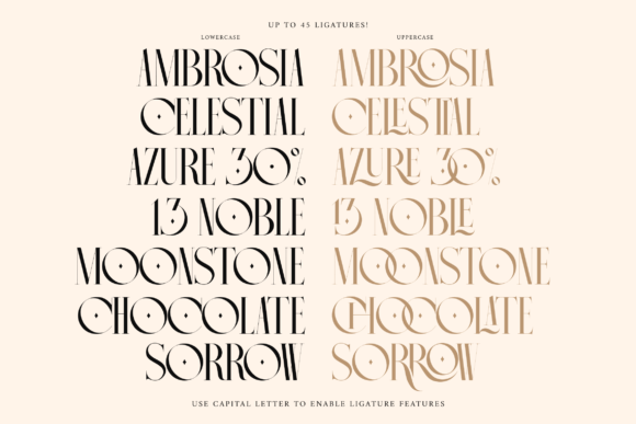 Chrome Font preview 2