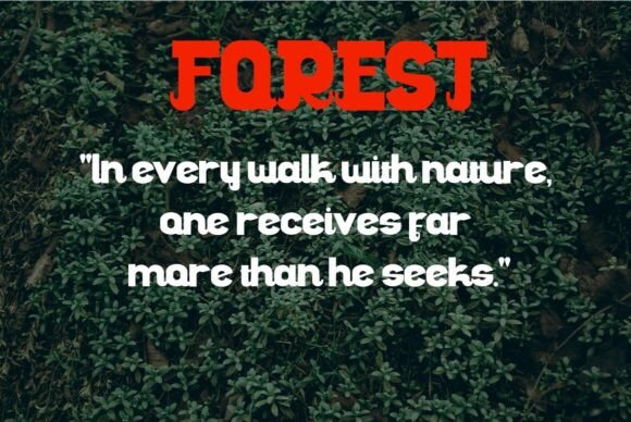 Christopher Font preview 3