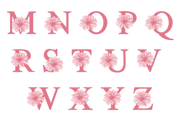 Chrysanthemum Font preview 3