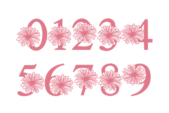 Chrysanthemum Font preview 4